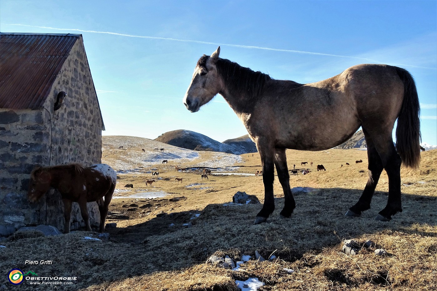 55 E sul 101 risaliamo ai pascoli della Baita Cabretondo (1869 m) .JPG - 